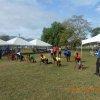 Sports Club Activity