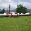 Sports Club Activity