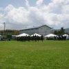 Sports Club Activity