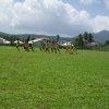 Sports Club Activity