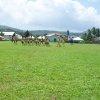 Sports Club Activity