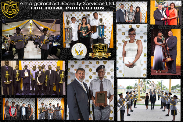 awards 2013